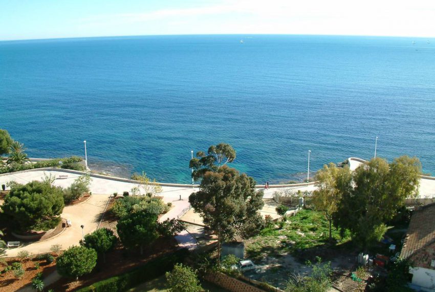 Vistas desde Terraza Delantera