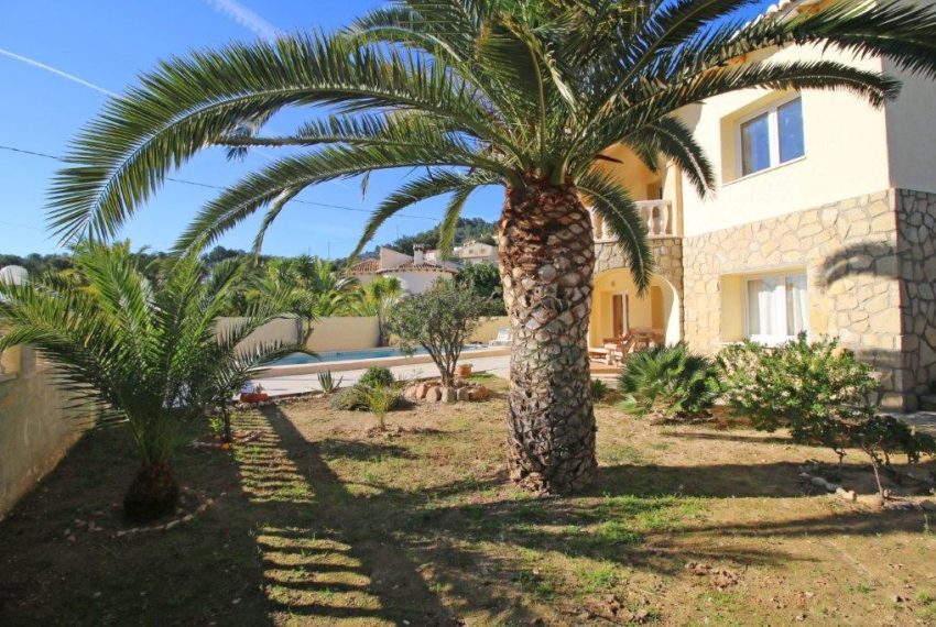 jardin-1
